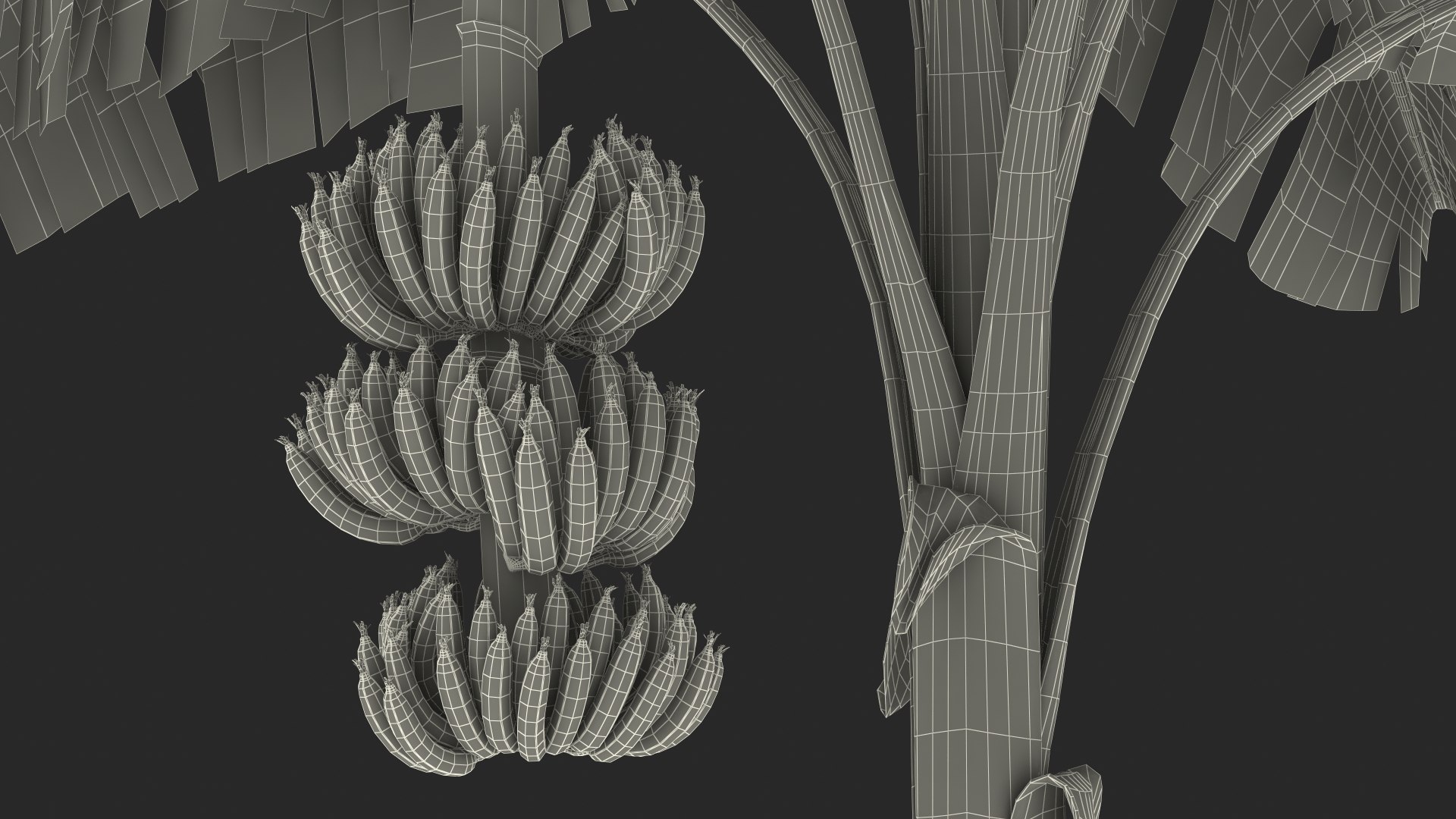 3D banana tree green cluster https://p.turbosquid.com/ts-thumb/Aw/7rAYMh/bQXgh8gu/bananatreewithgreenbananaclustermb3dmodel031/jpg/1592521666/1920x1080/fit_q87/05ba2920fc4c7a0513f3ba4b14af96cfc481ee3d/bananatreewithgreenbananaclustermb3dmodel031.jpg