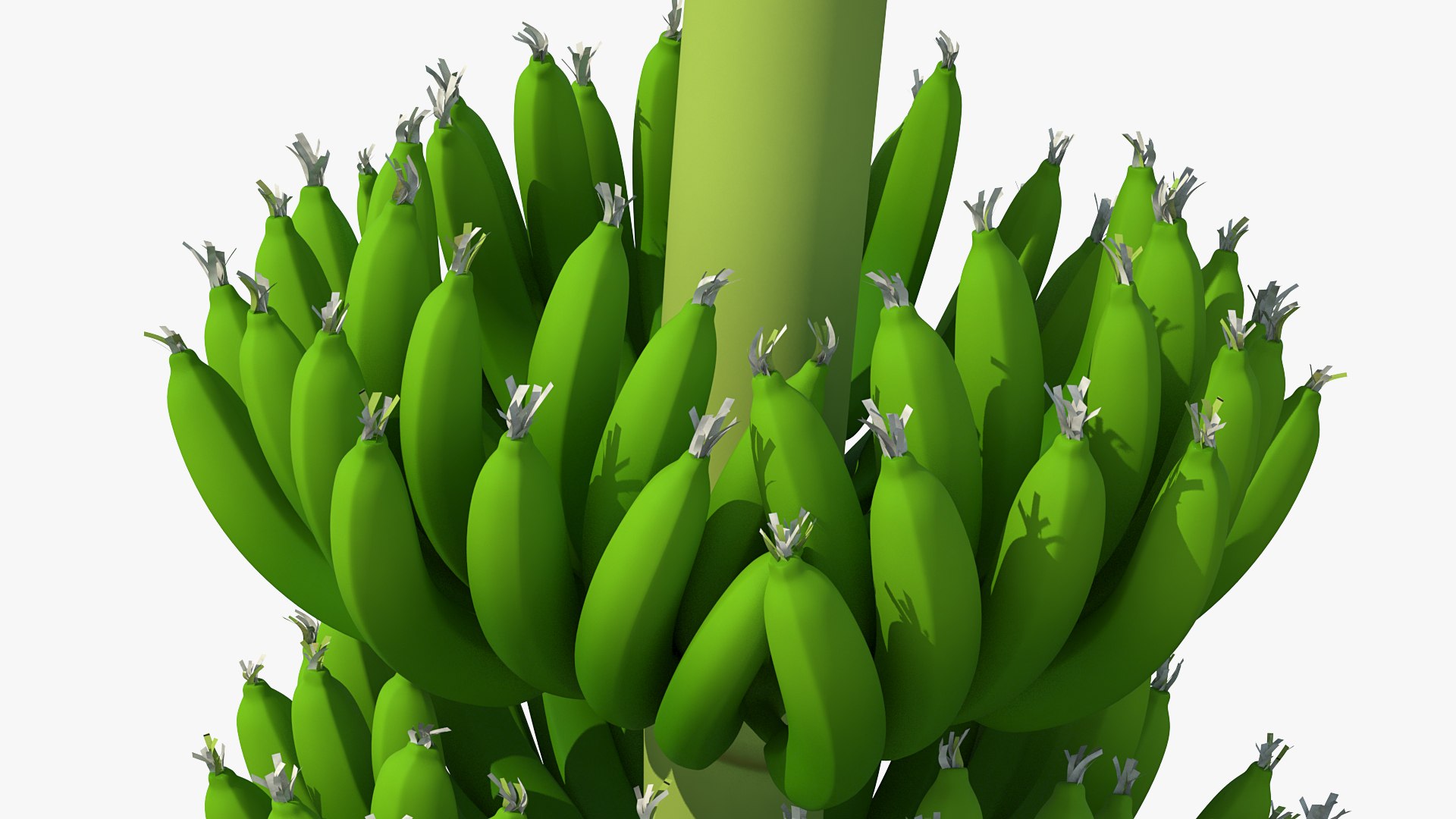 3D banana tree green cluster https://p.turbosquid.com/ts-thumb/Aw/7rAYMh/fJWyAgfN/bananatreewithgreenbananaclustermb3dmodel012/jpg/1592521522/1920x1080/fit_q87/20ce76a1a440d6ba00469795a73d022778f65139/bananatreewithgreenbananaclustermb3dmodel012.jpg