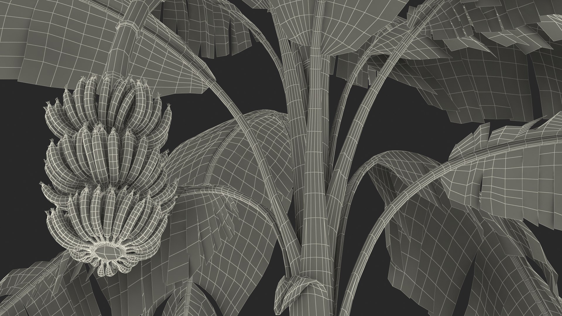 3D banana tree green cluster https://p.turbosquid.com/ts-thumb/Aw/7rAYMh/frO59BHI/bananatreewithgreenbananaclustermb3dmodel035/jpg/1592521697/1920x1080/fit_q87/2ce25089d4fc73e1a66b6e31b441fee0632fc881/bananatreewithgreenbananaclustermb3dmodel035.jpg