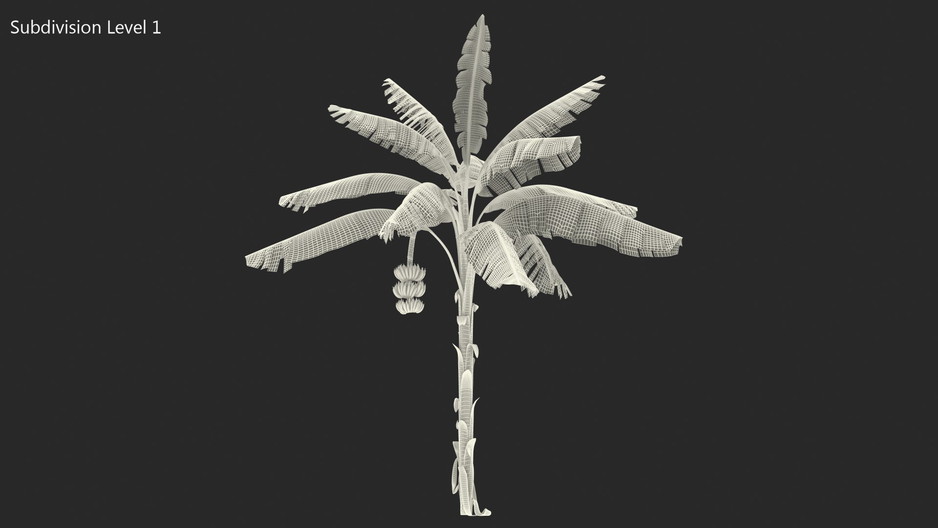 3D banana tree green cluster https://p.turbosquid.com/ts-thumb/Aw/7rAYMh/hfktlNF7/bananatreewithgreenbananaclustermb3dmodel018/jpg/1592521570/1920x1080/fit_q87/ad9e040f1406ab7afabb4f5d69d573cc787ee2ec/bananatreewithgreenbananaclustermb3dmodel018.jpg