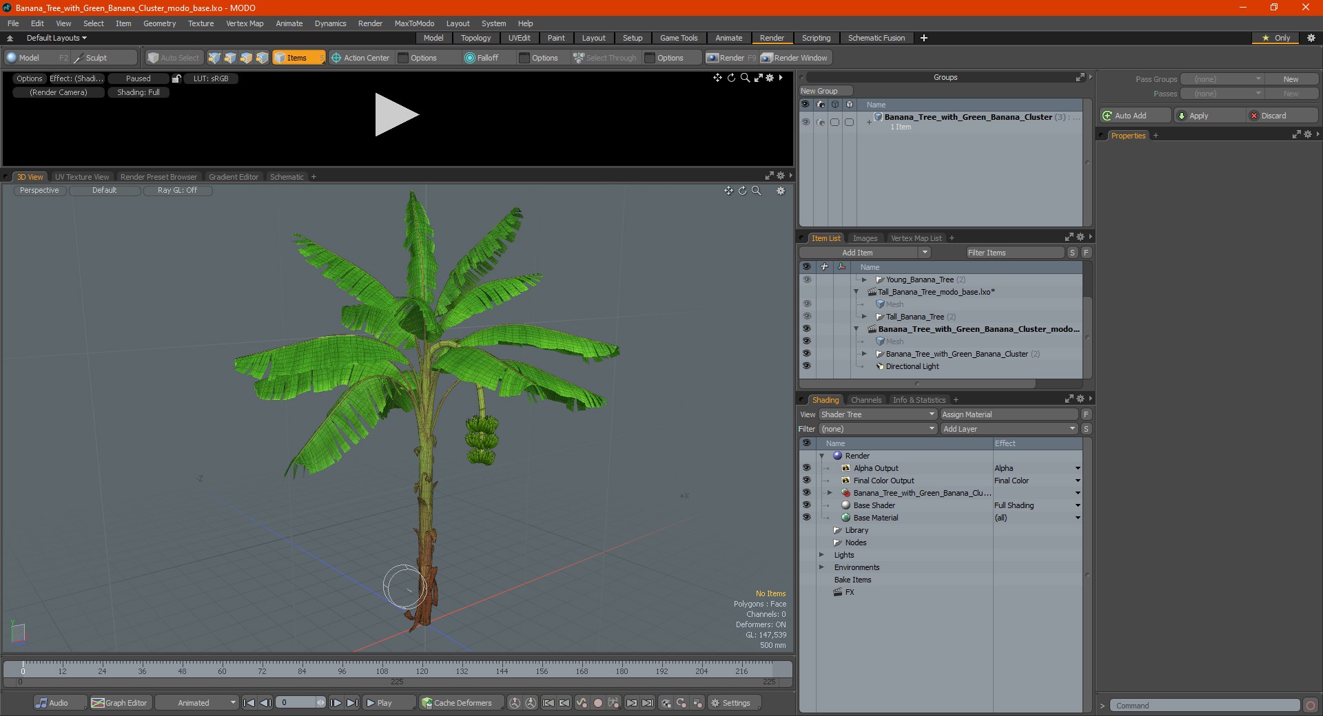 3D banana tree green cluster https://p.turbosquid.com/ts-thumb/Aw/7rAYMh/jxsx0GJR/bananatreewithgreenbananaclustermb3dmodel025/jpg/1592521621/1920x1080/fit_q87/aed87e5ca15e4813ee224cb87917427fdc6b1b59/bananatreewithgreenbananaclustermb3dmodel025.jpg