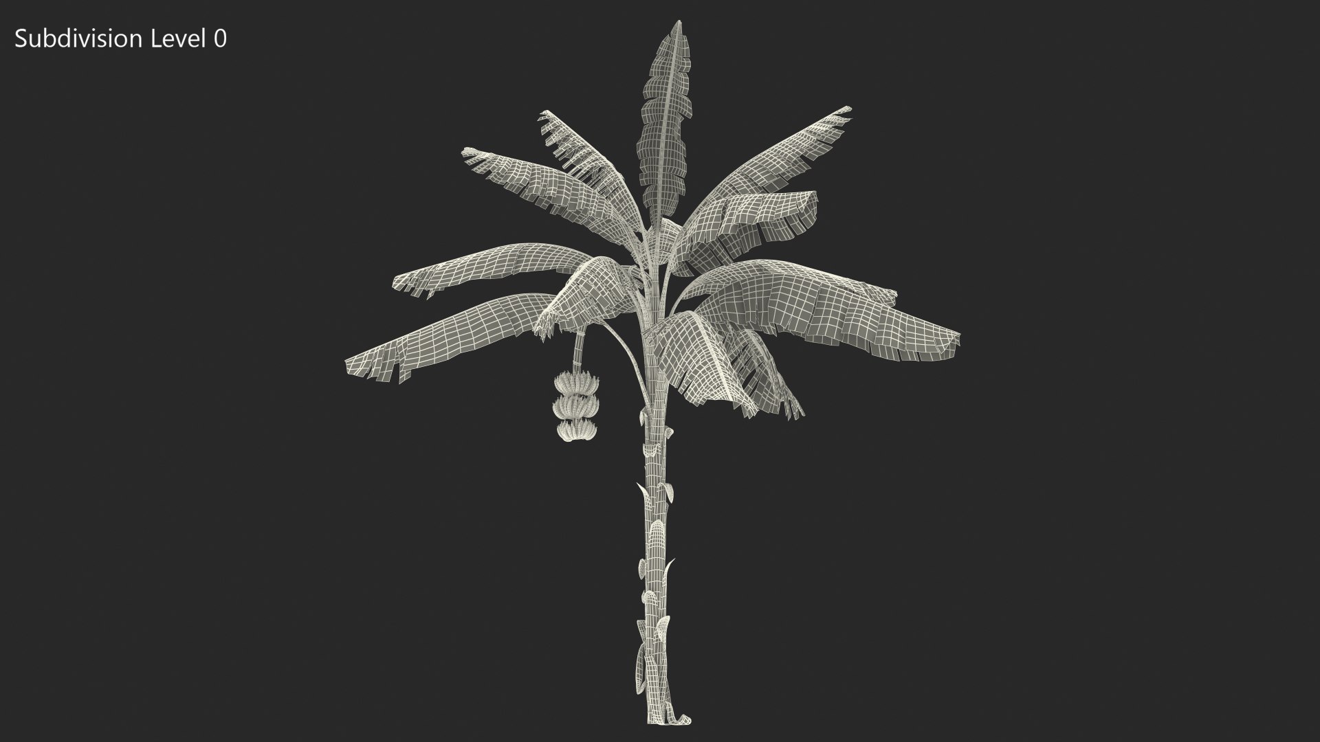 3D banana tree green cluster https://p.turbosquid.com/ts-thumb/Aw/7rAYMh/l3lQ9gQf/bananatreewithgreenbananaclustermb3dmodel017/jpg/1592521562/1920x1080/fit_q87/8197152905899cc8a87c790807ff883341f9c0f9/bananatreewithgreenbananaclustermb3dmodel017.jpg