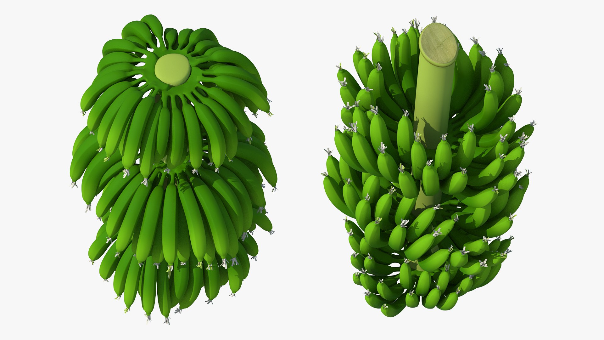 3D banana tree green cluster https://p.turbosquid.com/ts-thumb/Aw/7rAYMh/lma03AuH/bananatreewithgreenbananaclustermb3dmodel011/jpg/1592521515/1920x1080/fit_q87/50f772cf052fb854569e4a46ceb5ba50238323ef/bananatreewithgreenbananaclustermb3dmodel011.jpg