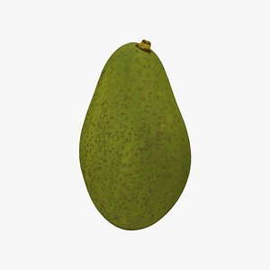 Avocado - Extreme Definition 3D Scanned Model 3D