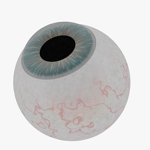 I love to know the human eye