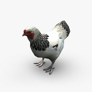 Hen