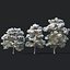 Pinus sylvestris #6. H7-10m. Winter. Three tree set