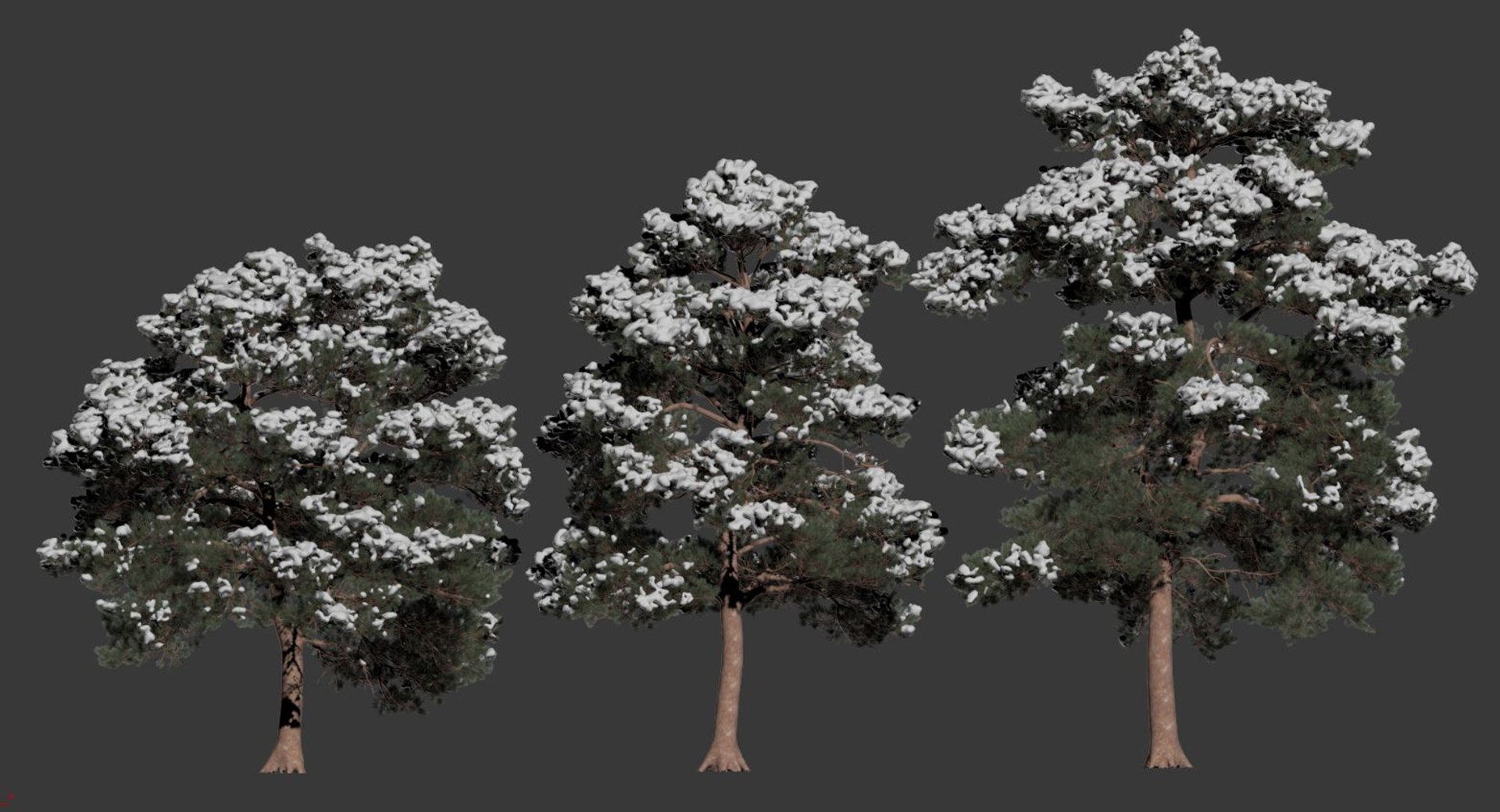 pines needles model https://p.turbosquid.com/ts-thumb/Aw/IMSoC6/ew66fpeJ/pinus7/jpg/1560348805/1920x1080/fit_q87/6176db237b1dfe0b1460aaafcce1d7cc64efc23f/pinus7.jpg