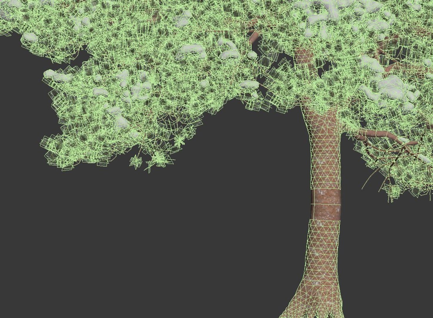pines needles model https://p.turbosquid.com/ts-thumb/Aw/IMSoC6/m3fBjZsQ/pinus9/jpg/1560348805/1920x1080/fit_q87/a362ac2db64a88d4d8f2682880542987d60bcd0c/pinus9.jpg