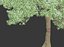 Pinus sylvestris #6. H7-10m. Winter. Three tree set
