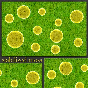 3ds max fytowall moss