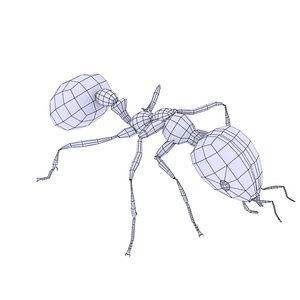 ant 3D model