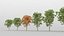 5 platanus tree leaves 3D model