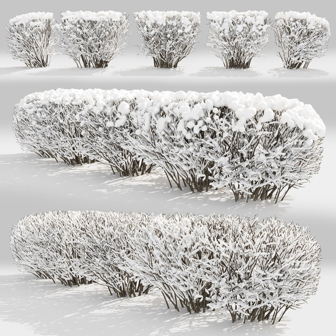 3D model hedge cotoneaster winter https://p.turbosquid.com/ts-thumb/Aw/dx1HTi/3W/2/jpg/1612872363/1920x1080/fit_q87/024cfafb3b942d16ed01918b52ff9d4f03b77696/2.jpg