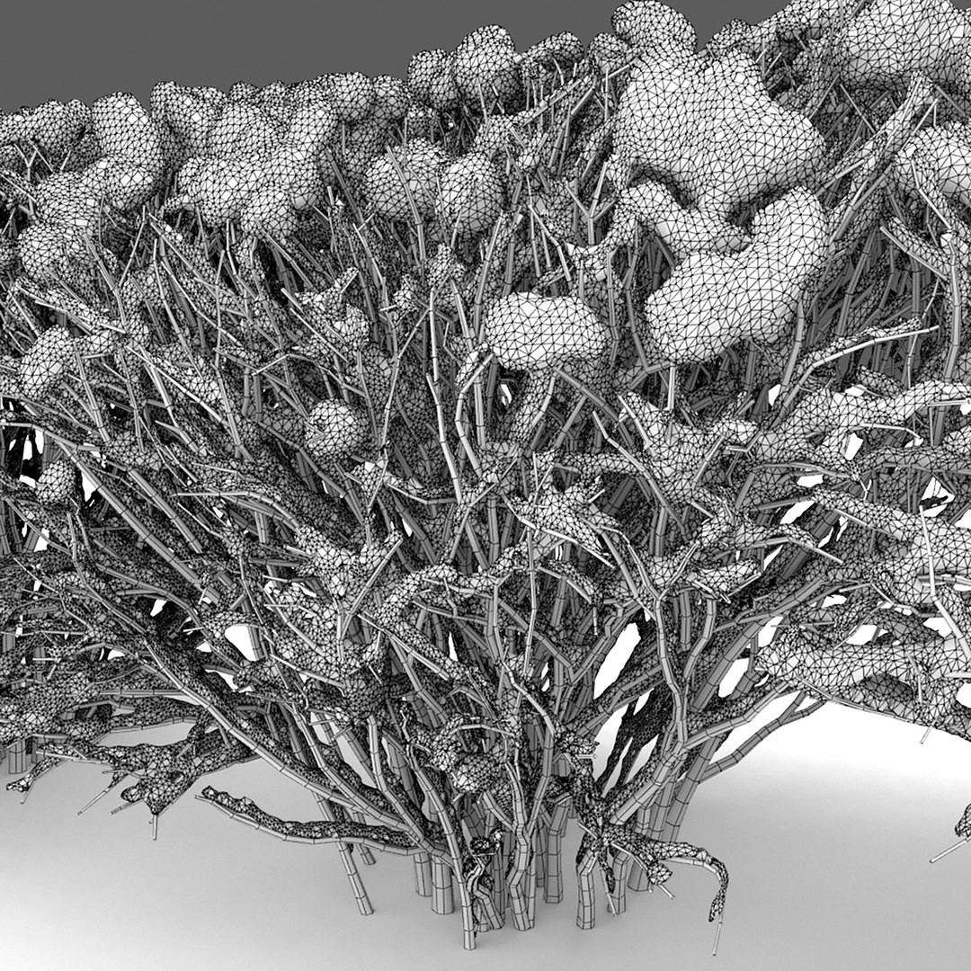 3D model hedge cotoneaster winter https://p.turbosquid.com/ts-thumb/Aw/dx1HTi/vw/4/jpg/1612872363/1920x1080/fit_q87/57a94f60a8f4ba12dd7c5fb585517bdc710d5324/4.jpg