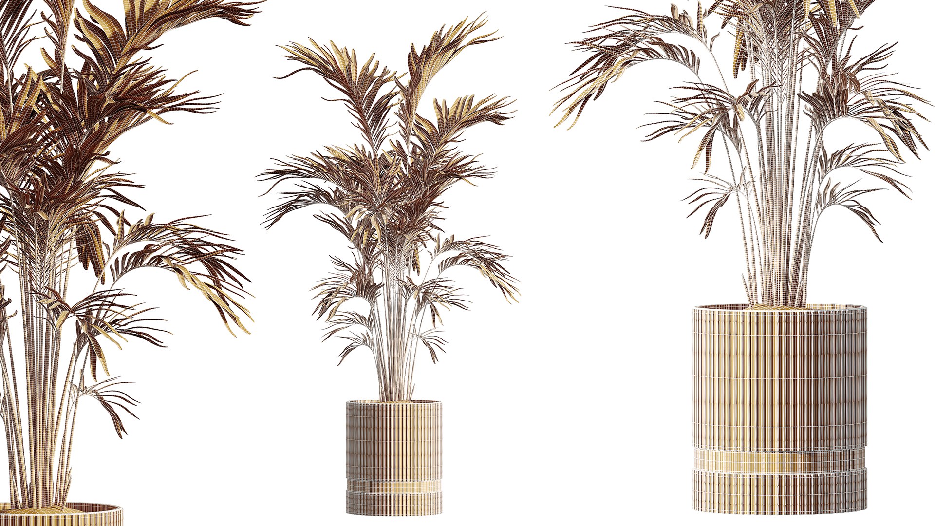 3D AV HousePlants Areca Majesty Cat Reed Palm Model - TurboSquid 2396469