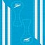 Swim Training Pull Buoy Speedo Blue and White