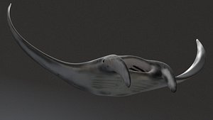 3d max gigant manta