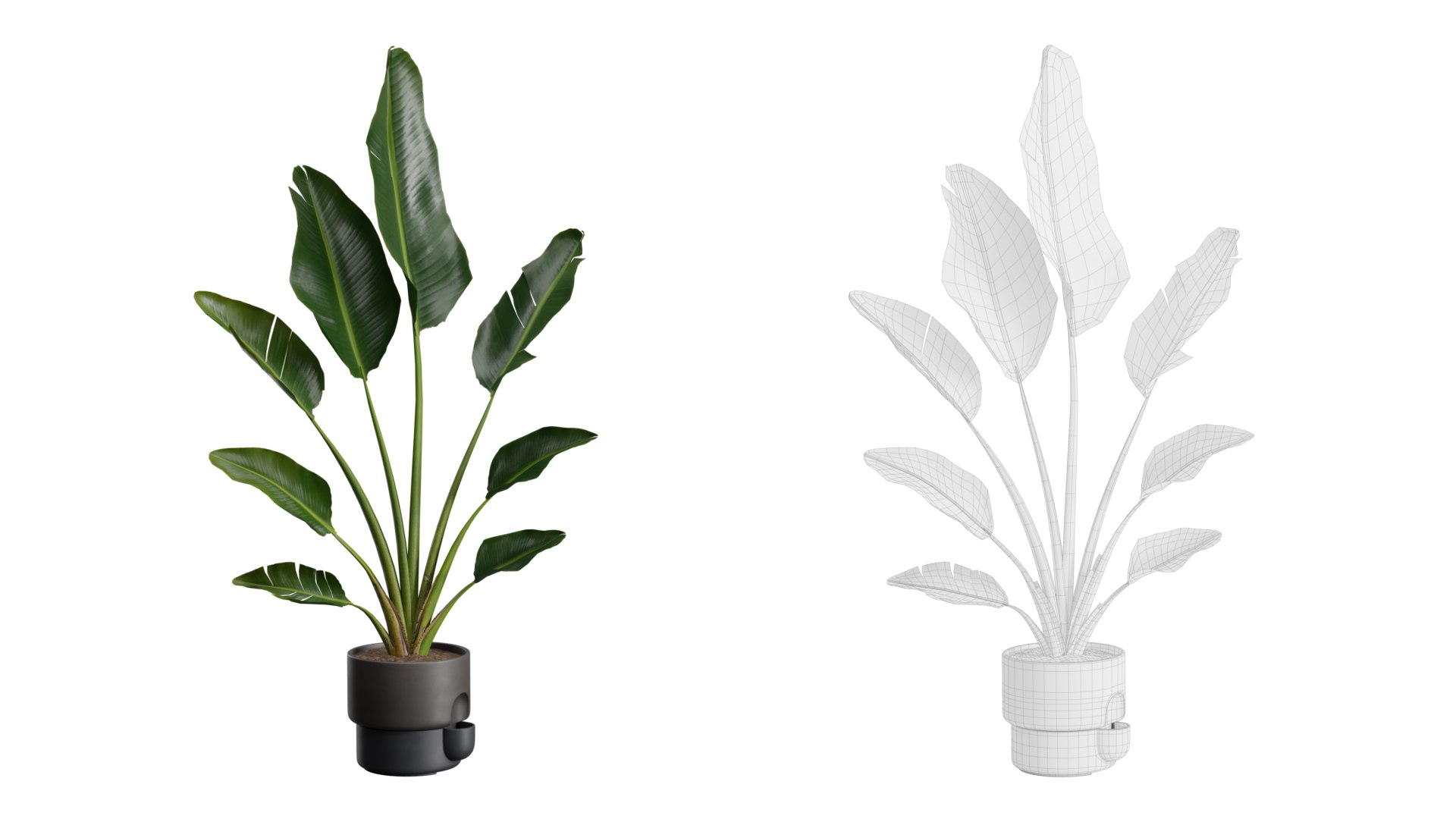 3D Indoor Plants Pack 39 https://p.turbosquid.com/ts-thumb/Aw/zG4xRa/0q/preview11_ts_0000/jpeg/1674333726/1920x1080/fit_q87/c78e66cec55af5cbc93d1878a6b1d1ea8850efa8/preview11_ts_0000.jpg