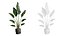 Pack Plantas Interior 39