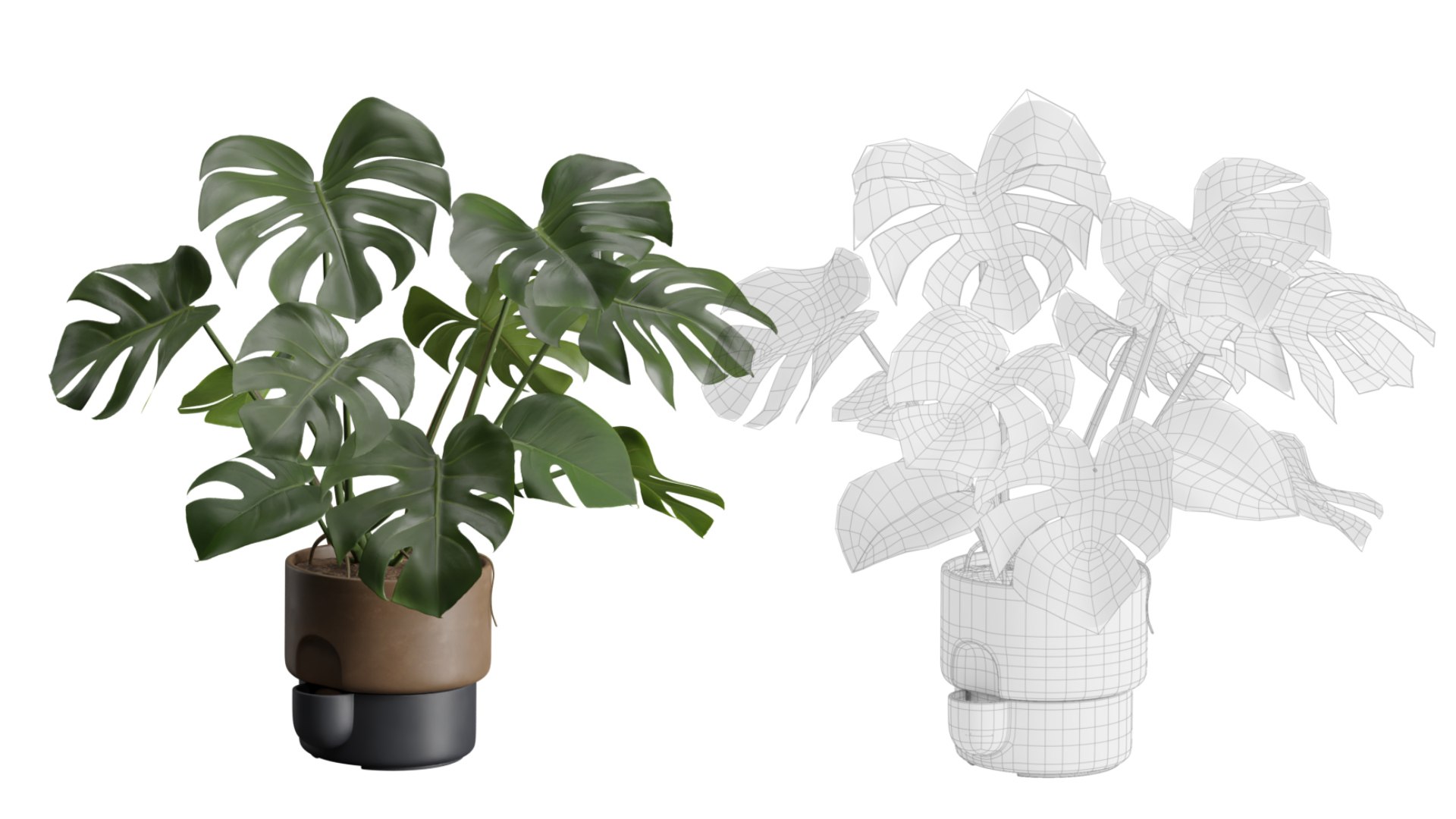 3D Indoor Plants Pack 39 https://p.turbosquid.com/ts-thumb/Aw/zG4xRa/6D/preview10_ts_0000/jpeg/1674333726/1920x1080/fit_q87/b23af17a1f2a85e934722c039e8b0c569e4e7d64/preview10_ts_0000.jpg
