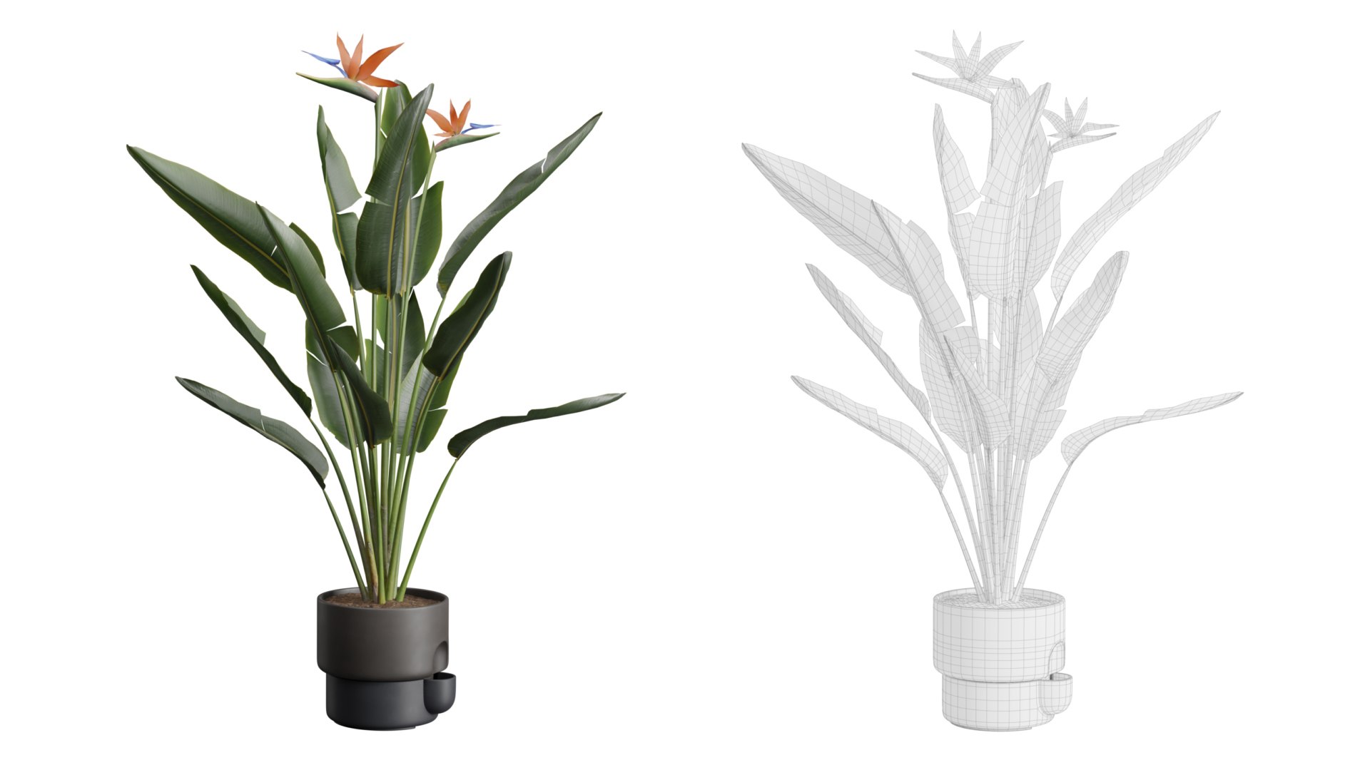 3D Indoor Plants Pack 39 https://p.turbosquid.com/ts-thumb/Aw/zG4xRa/Qh/preview08_ts_0000/jpeg/1674333724/1920x1080/fit_q87/d829dc21e2c31b6a5ab0b874ba970f275331e4ef/preview08_ts_0000.jpg
