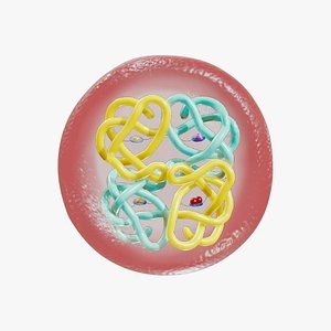 The Structure of Hemoglobin