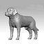 Labrador Retriever02 3D model