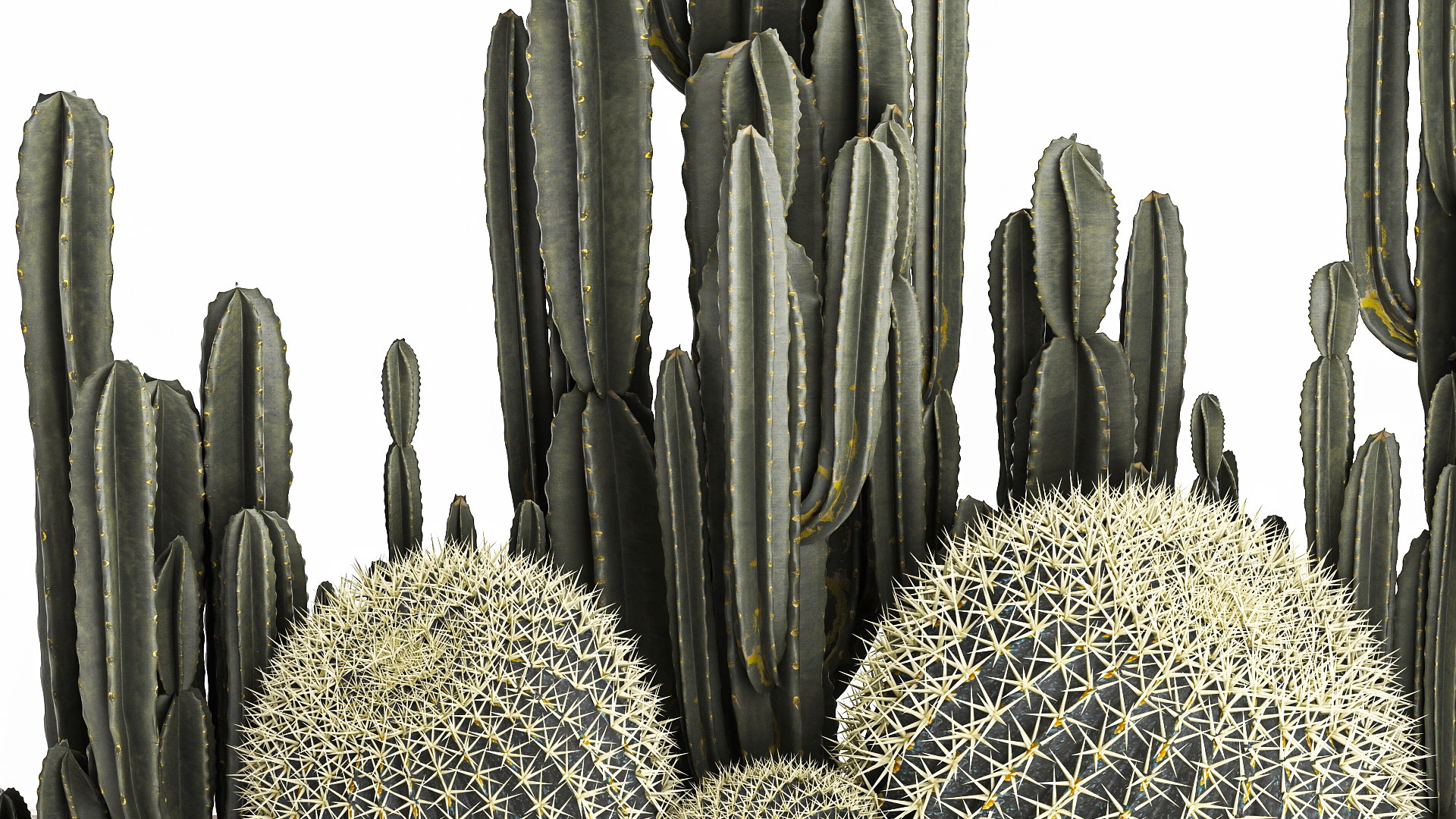 3D Cactus set in a concrete flowerpot for the interior 1097 model https://p.turbosquid.com/ts-thumb/Ax/9FEp4g/82/1cactusset1101202206/jpg/1641993913/1920x1080/fit_q87/a3d8111559905251cf28b5b2acc2bc639bf302c2/1cactusset1101202206.jpg