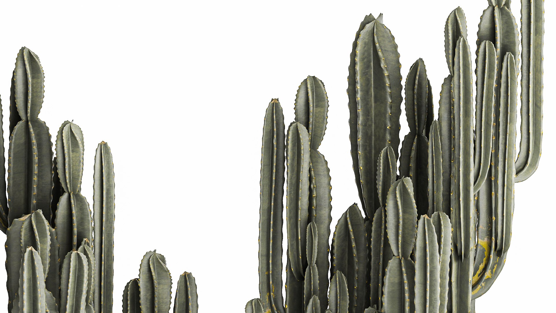 3D Cactus set in a concrete flowerpot for the interior 1097 model https://p.turbosquid.com/ts-thumb/Ax/9FEp4g/8M/1cactusset1101202207/jpg/1641993912/1920x1080/fit_q87/772f218e4d5e71b7ba02d9a7c75725e34c309adb/1cactusset1101202207.jpg