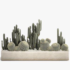 3D Cactus set in a concrete flowerpot for the interior 1097 model