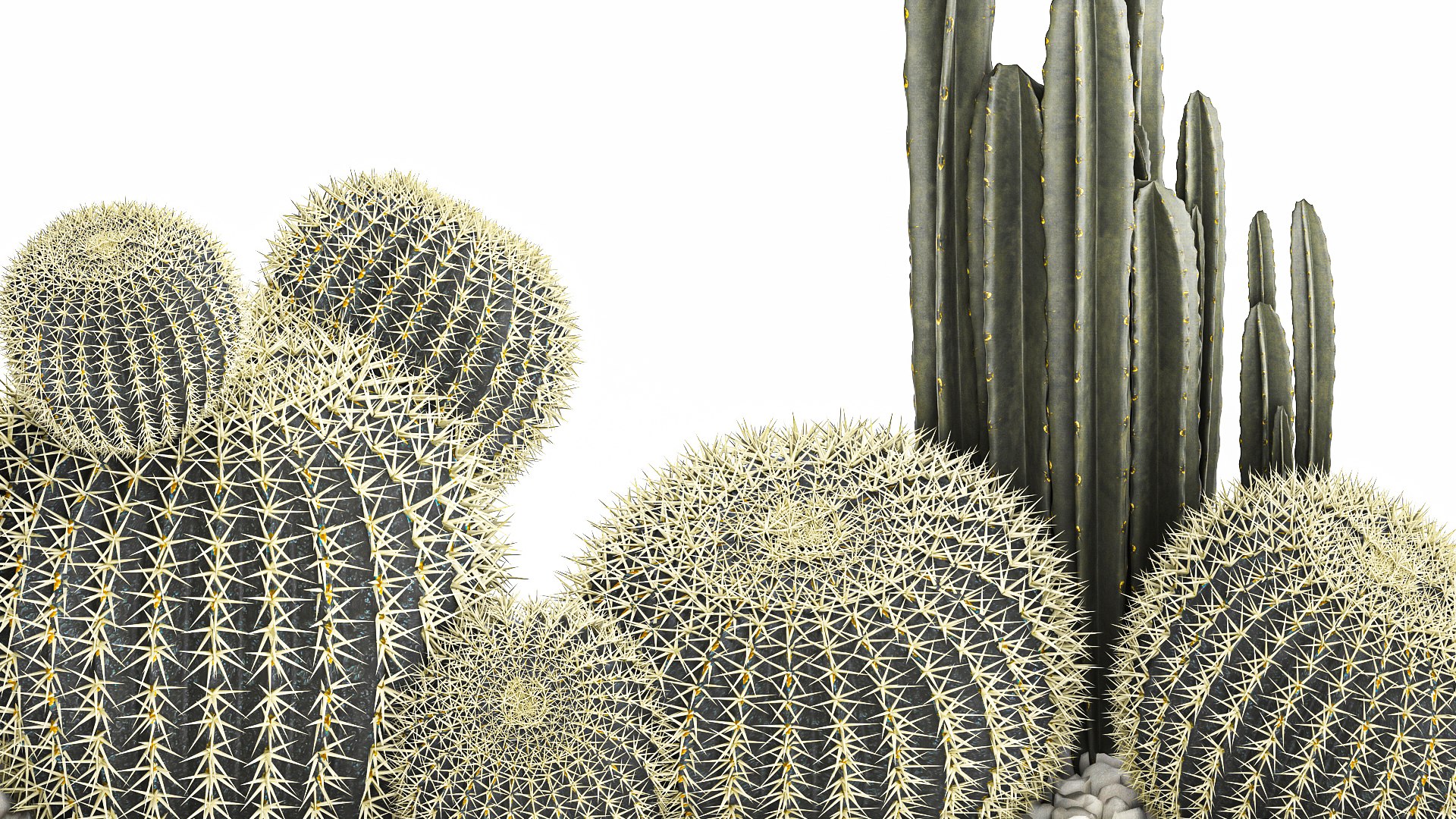 3D Cactus set in a concrete flowerpot for the interior 1097 model https://p.turbosquid.com/ts-thumb/Ax/9FEp4g/Ov/1cactusset1101202205/jpg/1641993915/1920x1080/fit_q87/8ac5185e626d52e73e4dc8f324000523e9450059/1cactusset1101202205.jpg