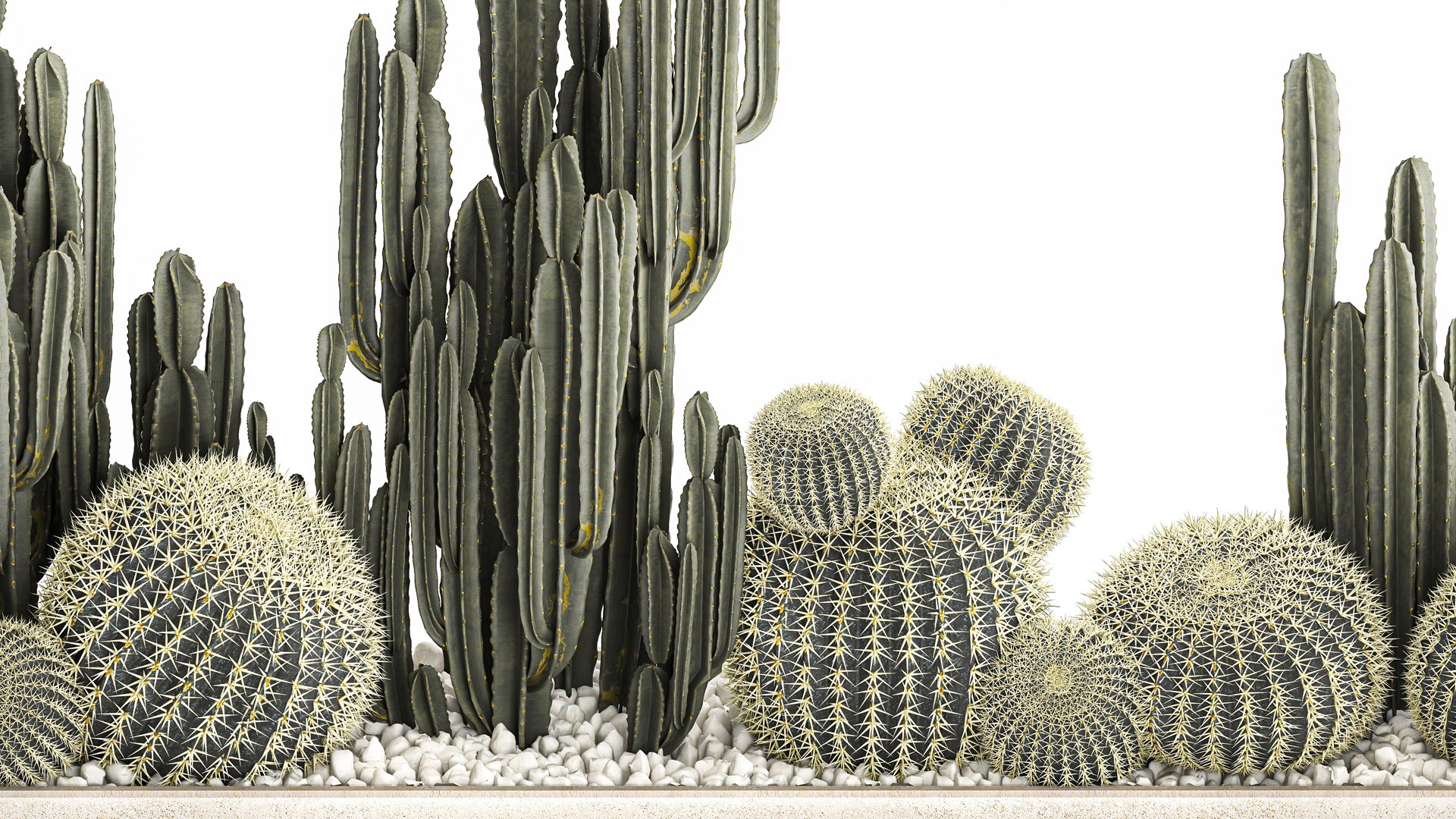 3D Cactus set in a concrete flowerpot for the interior 1097 model https://p.turbosquid.com/ts-thumb/Ax/9FEp4g/RE/1cactusset1101202204/jpg/1641993914/1920x1080/fit_q87/dd84a5400d2066cb711d31516ed2db740f3372dd/1cactusset1101202204.jpg