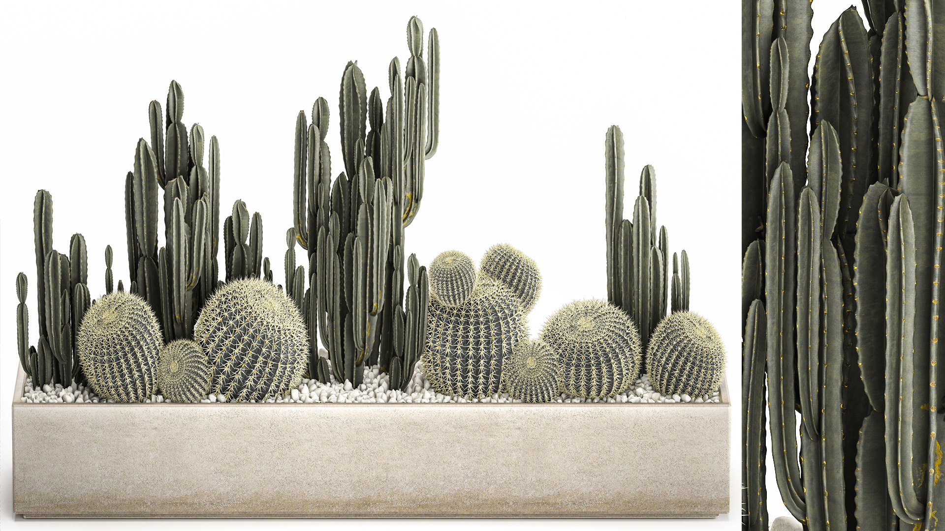 3D Cactus set in a concrete flowerpot for the interior 1097 model https://p.turbosquid.com/ts-thumb/Ax/9FEp4g/fi/1cactusset1101202201/jpg/1641993915/1920x1080/fit_q87/d0fa6de273200ee40eb6ba65124e5e849f6282d9/1cactusset1101202201.jpg