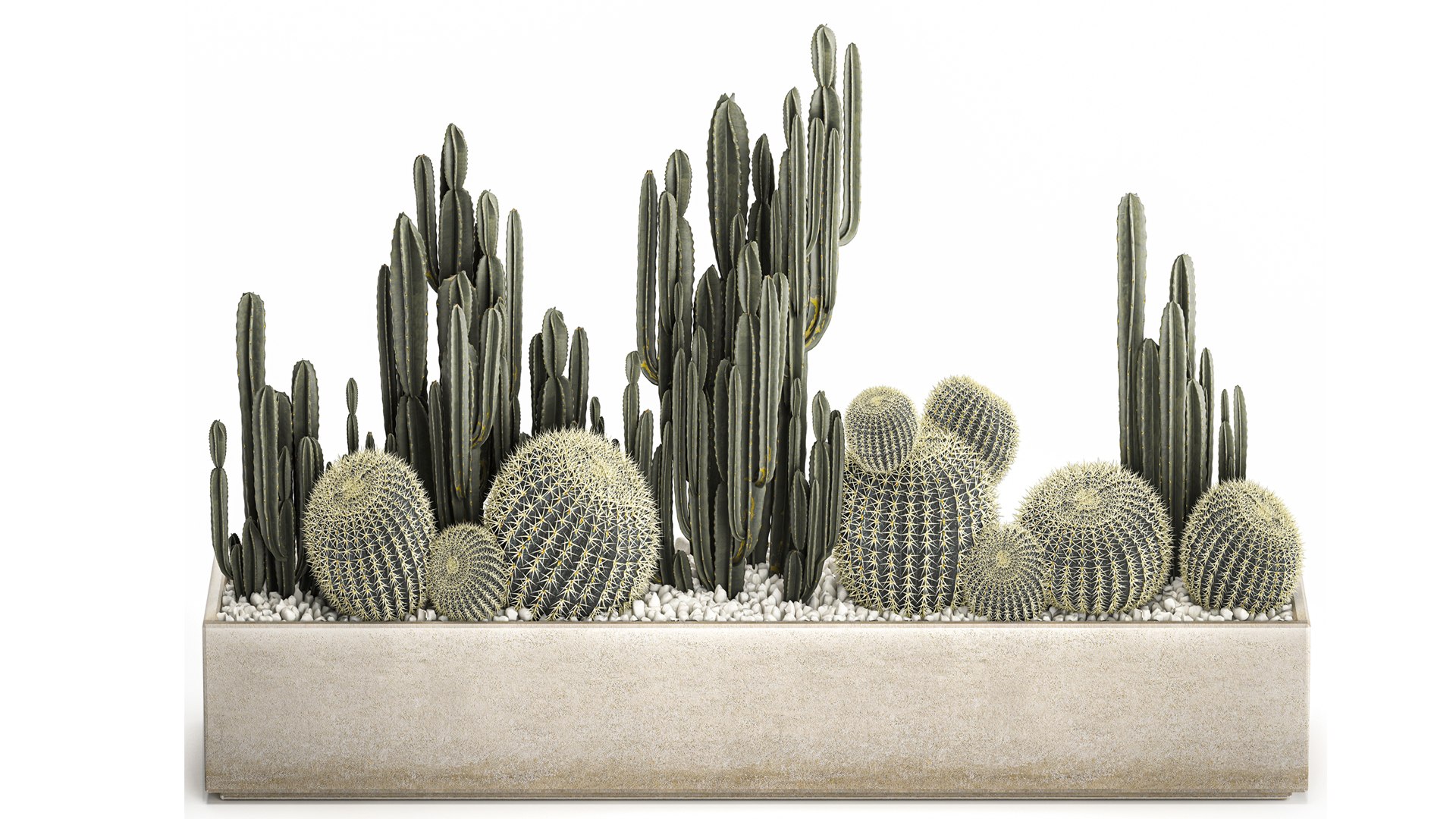 3D Cactus set in a concrete flowerpot for the interior 1097 model https://p.turbosquid.com/ts-thumb/Ax/9FEp4g/fn/1cactusset1101202202/jpg/1641993911/1920x1080/fit_q87/0e3b0c77d37098bfeee0b68670a113ea9c7ed7f8/1cactusset1101202202.jpg