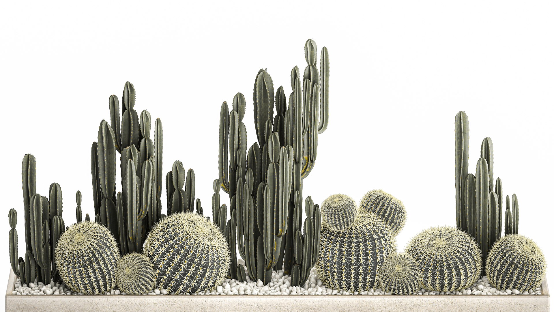 3D Cactus set in a concrete flowerpot for the interior 1097 model https://p.turbosquid.com/ts-thumb/Ax/9FEp4g/pe/1cactusset1101202203/jpg/1641993911/1920x1080/fit_q87/5cc10942863f13d445f7dfca2a71f7c9ecc4b152/1cactusset1101202203.jpg