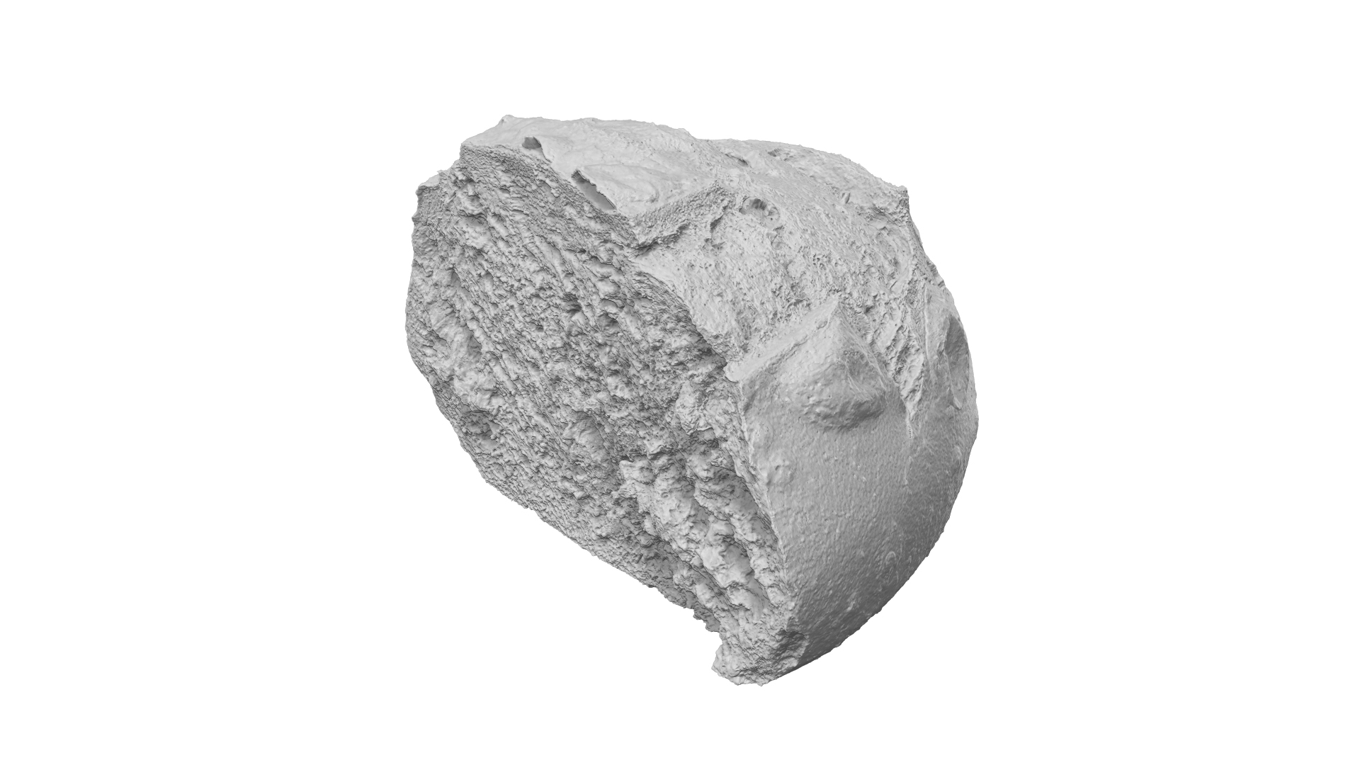 3D Half a Crusty Round Italian Bread - Extreme Definition 3D Scanned model https://p.turbosquid.com/ts-thumb/Ax/DfeRUy/rI/sculpt/jpg/1621087234/1920x1080/turn_fit_q99/2cdbb04a1f73a458fee913b6d5f8353af18967eb/sculpt-1.jpg
