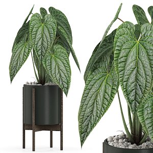 3D Plants collection 516