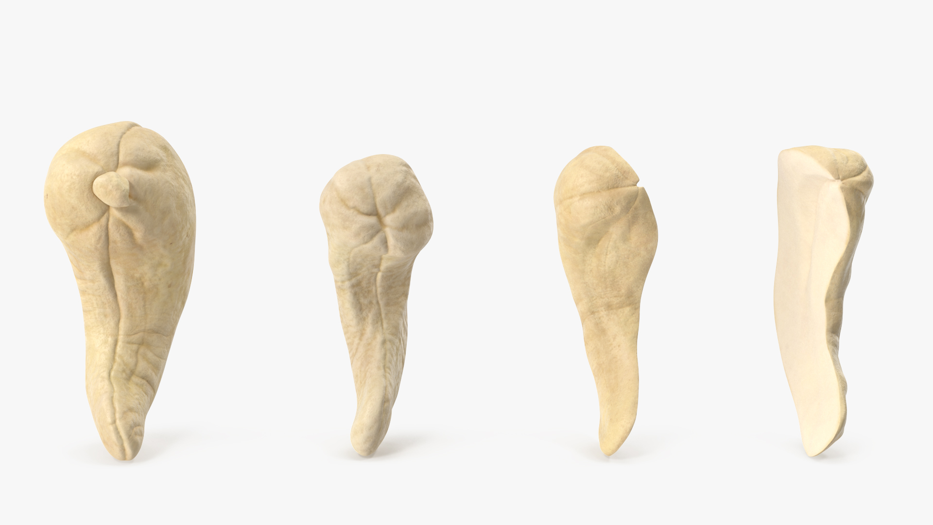 3D Cashews in a Glass Jar 3 https://p.turbosquid.com/ts-thumb/Ax/MRQDcs/MR/turntable/jpg/1706079202/1920x1080/turn_fit_q99/9a64bc78617f2b3db1c32695a780c306df2e04a0/turntable-1.jpg