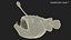 Anglerfish
