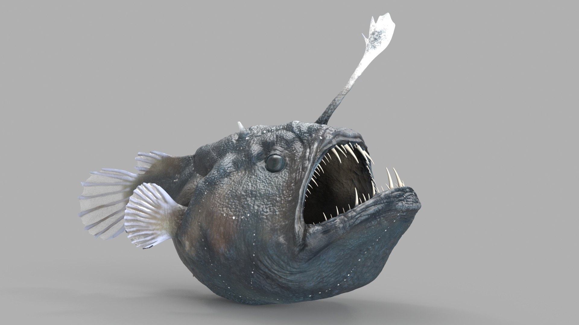 3D Anglerfish model https://p.turbosquid.com/ts-thumb/Ax/Ovns5P/5X/anglerfishmb3dmodel014/jpg/1718279553/1920x1080/fit_q87/3ae8e7f98d36ff8d77f93b1f7841e71cbf8c89aa/anglerfishmb3dmodel014.jpg