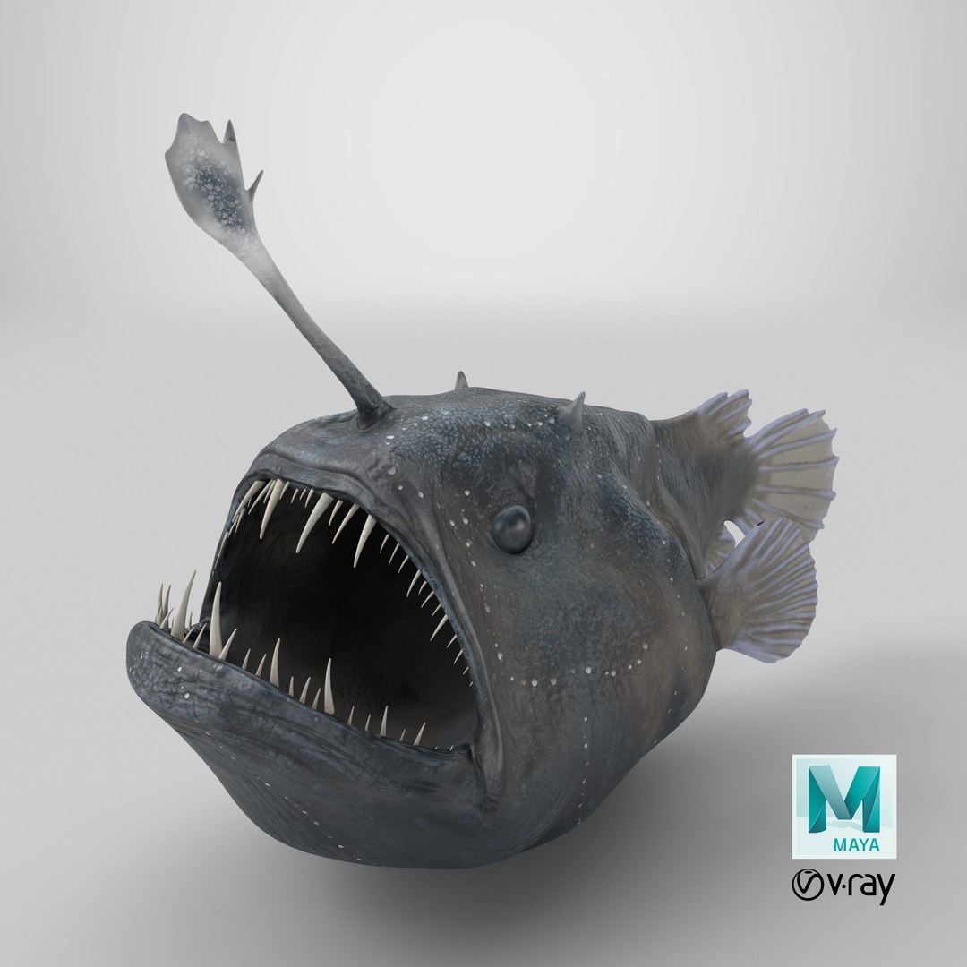 3D Anglerfish model https://p.turbosquid.com/ts-thumb/Ax/Ovns5P/Av/stemcell_maya_vray_render/png/1720026641/1920x1080/fit_q87/e1287cd63f5f85ee9d49c1ac2882501705f8300c/stemcell_maya_vray_render.jpg