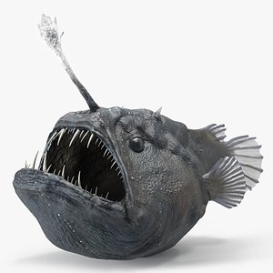 3D Anglerfish model