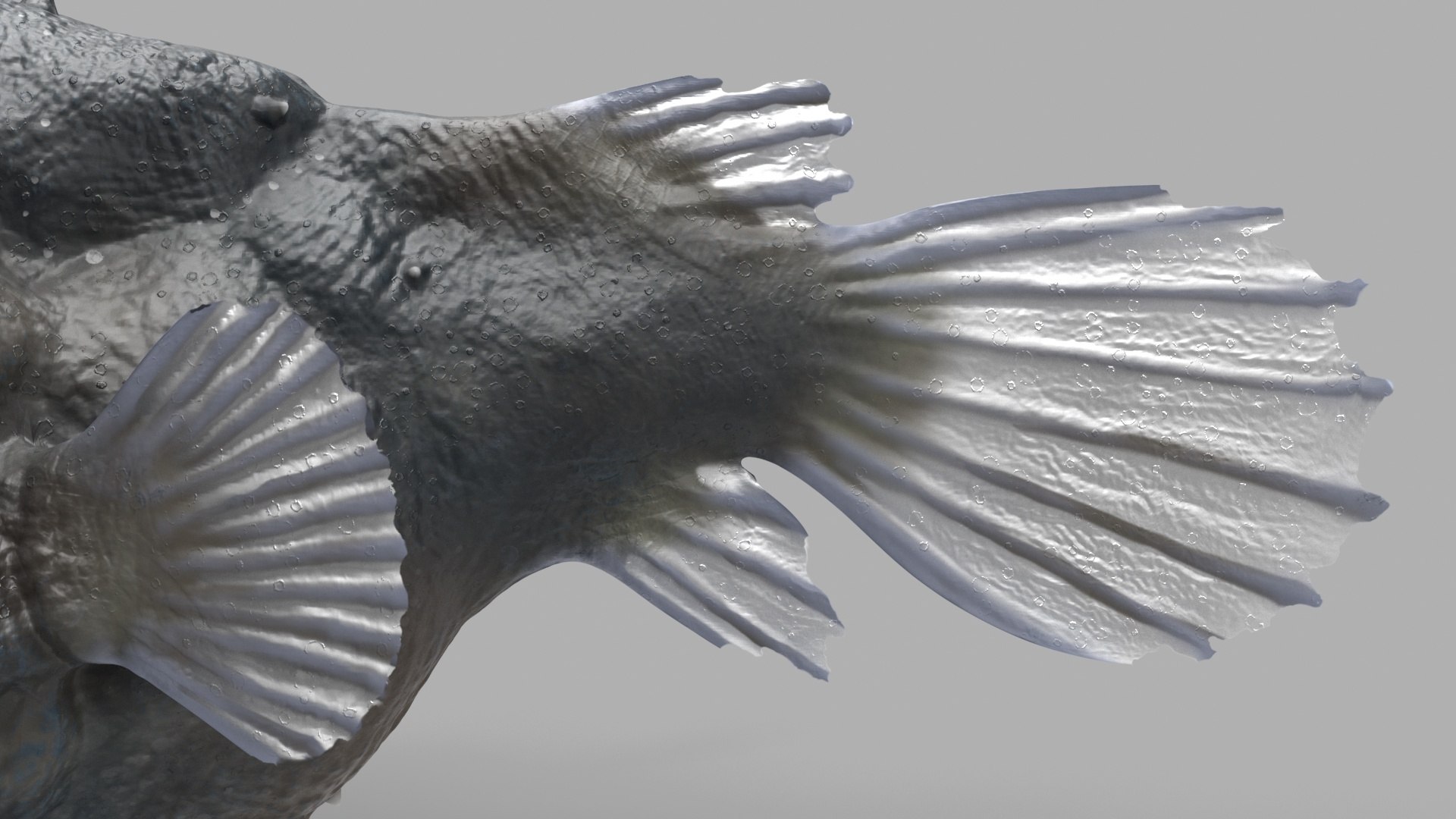 3D Anglerfish model https://p.turbosquid.com/ts-thumb/Ax/Ovns5P/dh/anglerfishmb3dmodel016/jpg/1718279560/1920x1080/fit_q87/93f92f8094827acfeee2caf8beac35c192b0f5bf/anglerfishmb3dmodel016.jpg