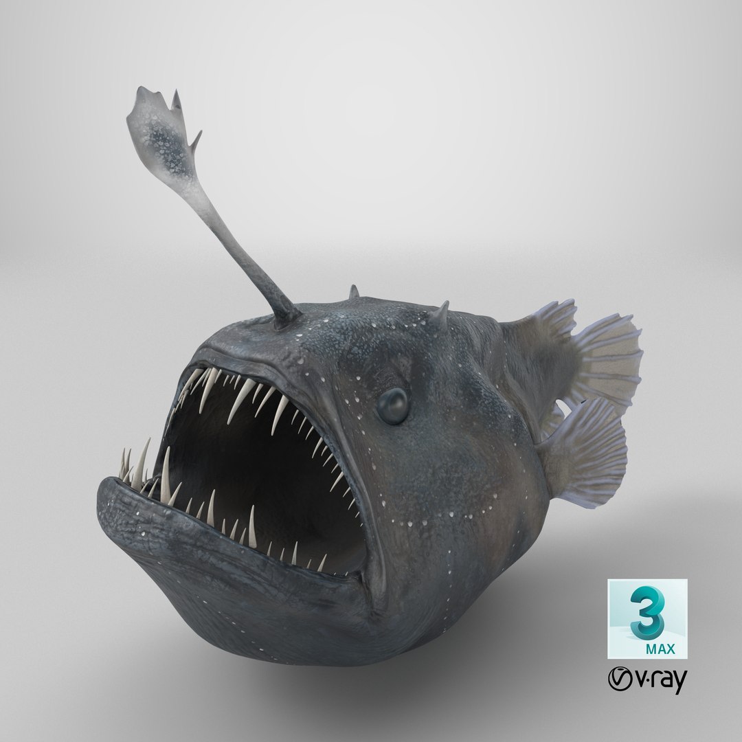 3D Anglerfish model https://p.turbosquid.com/ts-thumb/Ax/Ovns5P/qr/stemcell_max_vray_render/png/1720026647/1920x1080/fit_q87/d8768b043cc3a716e3971d47fdfcaa3a2033848a/stemcell_max_vray_render.jpg