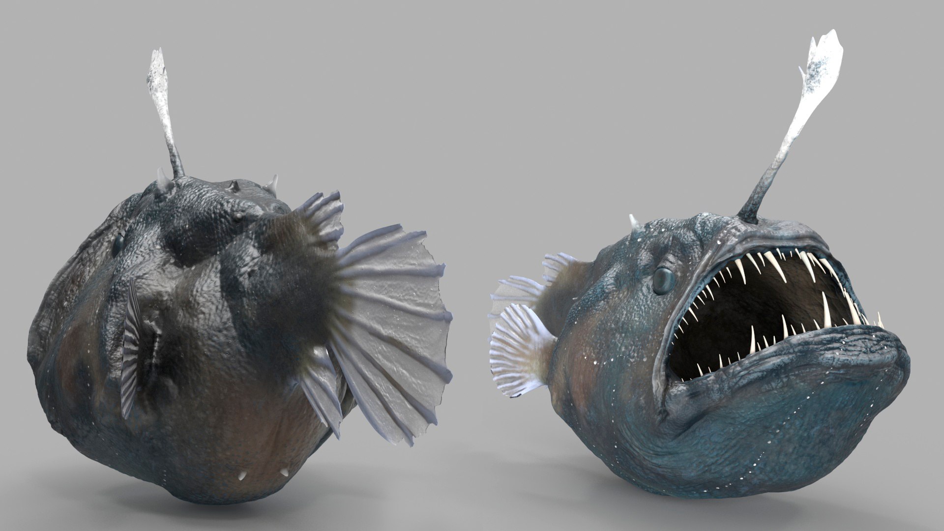 3D Anglerfish model https://p.turbosquid.com/ts-thumb/Ax/Ovns5P/ye/anglerfishmb3dmodel011/jpg/1718279542/1920x1080/fit_q87/aef6777df3124a96ef010d82869c6f8b52722208/anglerfishmb3dmodel011.jpg