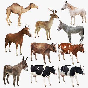 Cattle Horse Deer Camel Collection 10 in 1