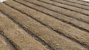 Farm Terrain Textures 3D