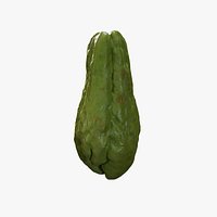 Anydrafts Sechium edule 03