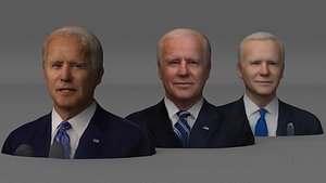 Joe Biden Face